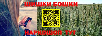 индика Беслан