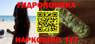 молекула духа Бийск