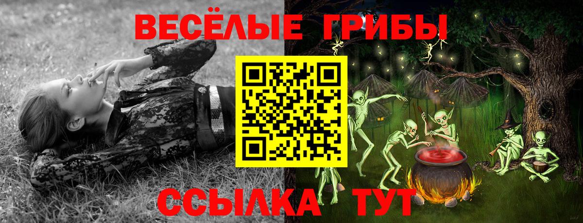 Галлюциногенные грибы прущие грибы  Вход с VPN  Качканар  Псилоцибиновые грибы Psilocybe 