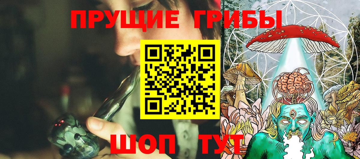 Псилоцибиновые грибы GOLDEN TEACHER Качканар